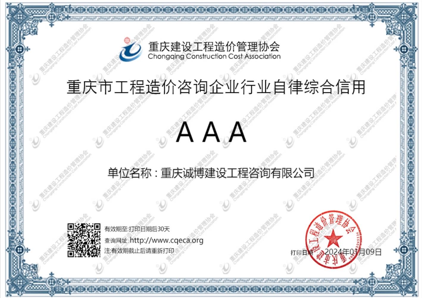 造价咨询行业自律评价证书